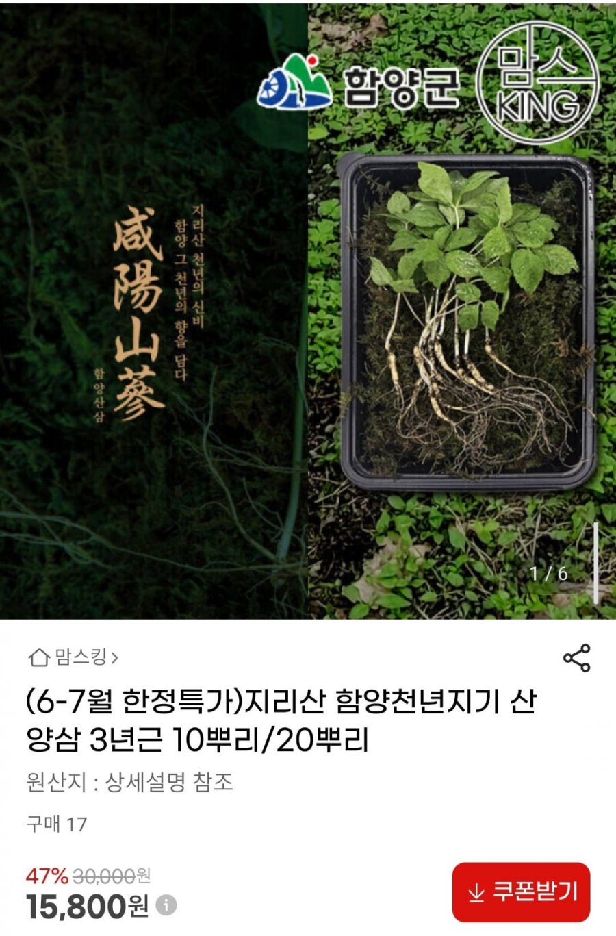 지리산 함양천년지기 산양삼 3년근 10뿌리 (15,800원/무료)