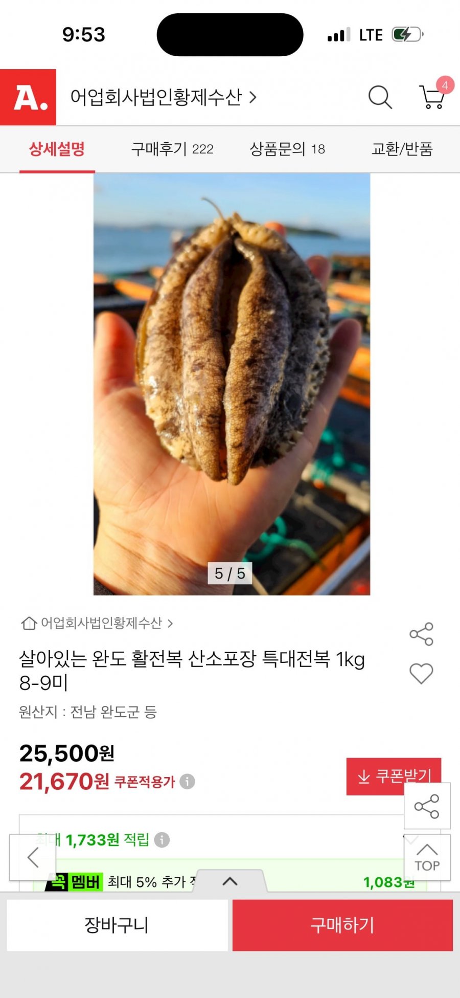 완도 활전복 왕특대전복 1kg 8-9미 (21,670원/무료)