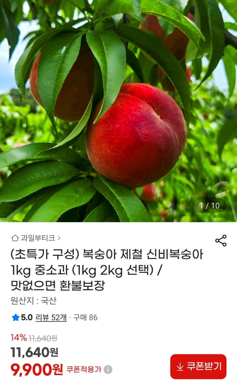 제철 신비복숭아 1kg (9,900원/무료)