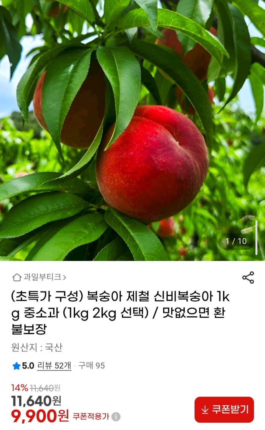 제철 신비복숭아 1kg 중소과 (9,900원/무배)
