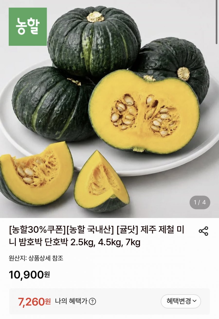 제주 제철 미니 밤호박 단호박 2.5kg (7,260원/무료)