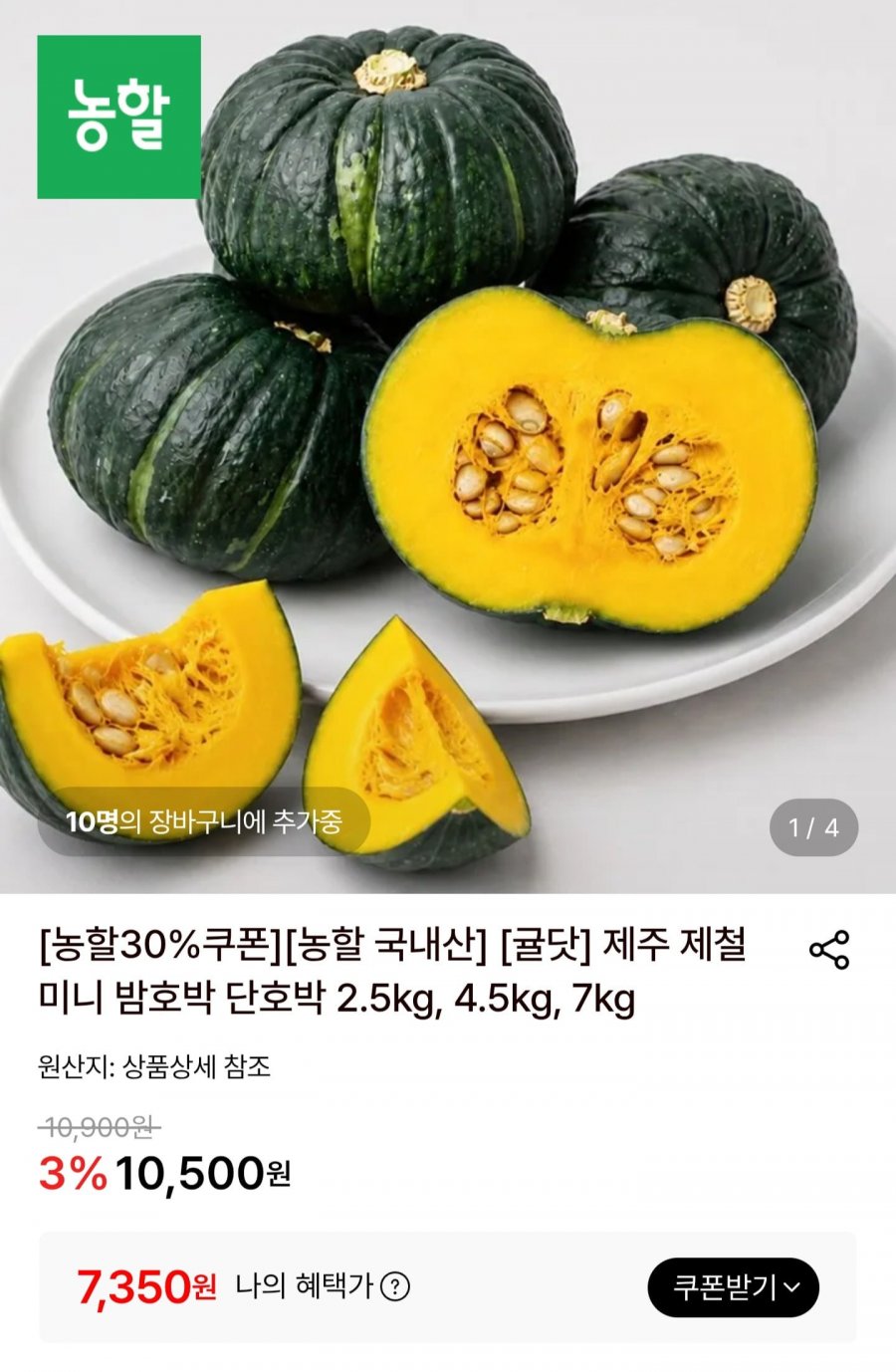 제주 미니밤호박 특품 2.5kg (7,260원/무료)
