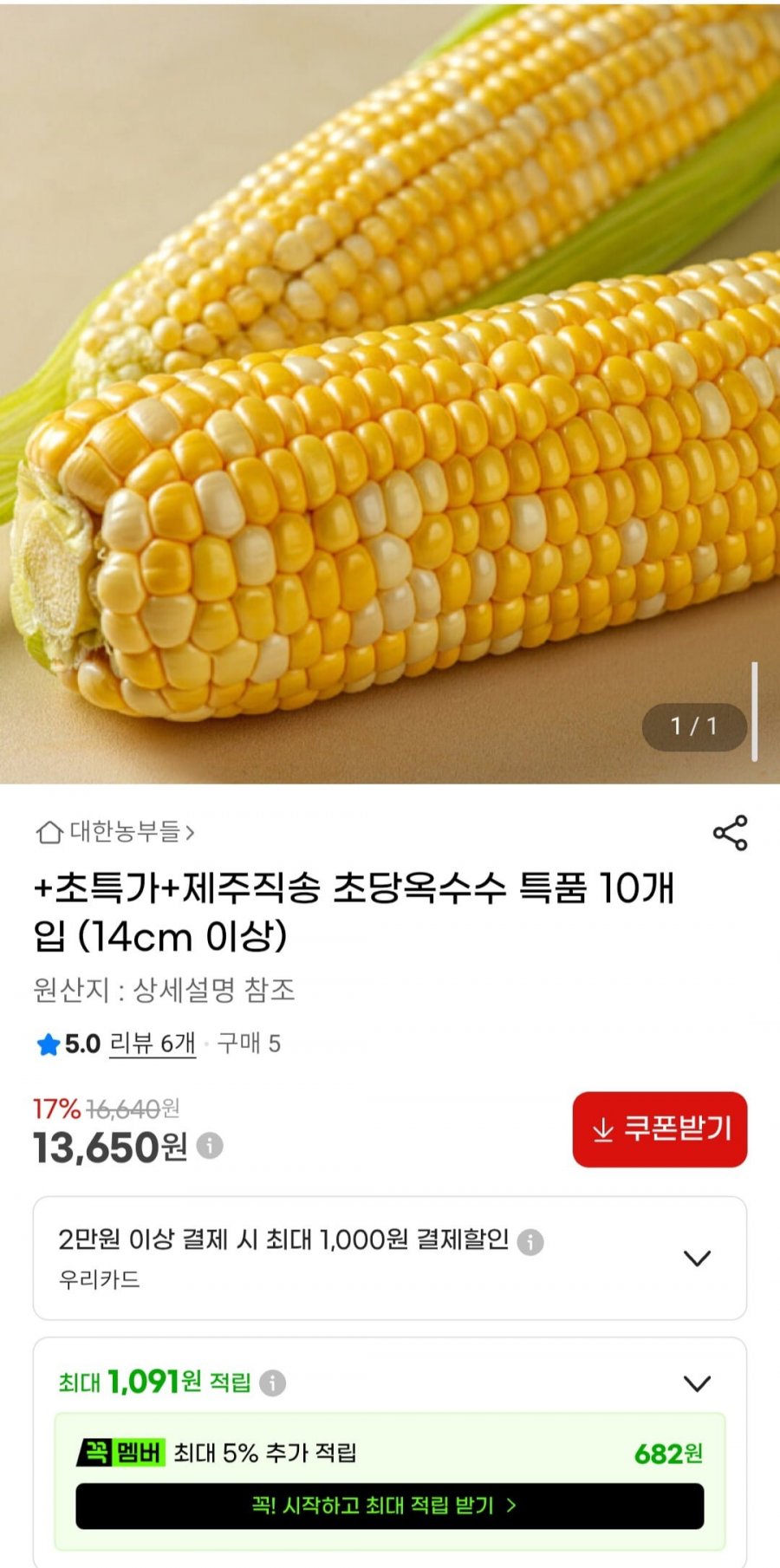 산지직송 초당옥수수 특품 10개입 (13,650원/무료배송)