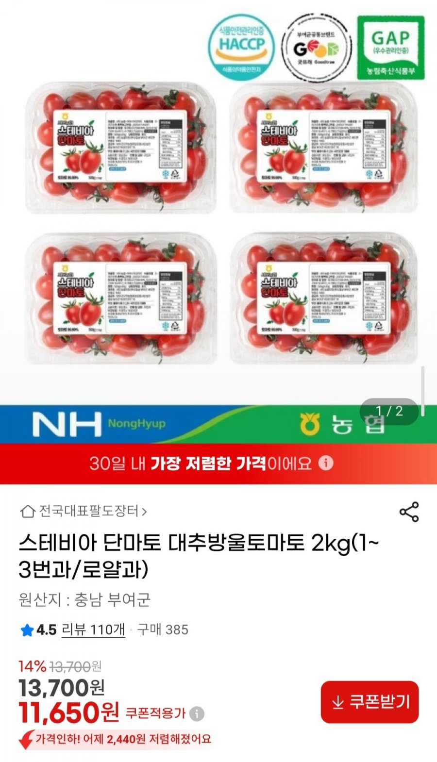 스테비아 단마토 대추방울토마토 2kg(1~3번과/로얄과) (11,650원/무배)
