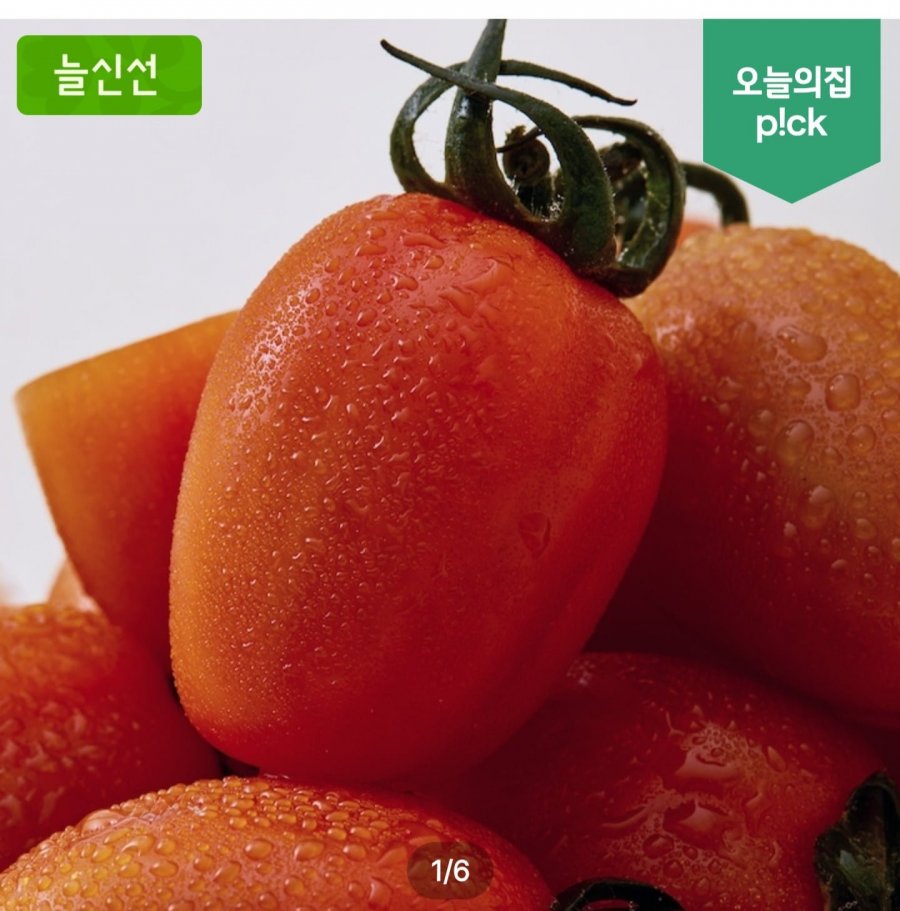 스테비아 토망고 500g x 4팩(9,900/무료)