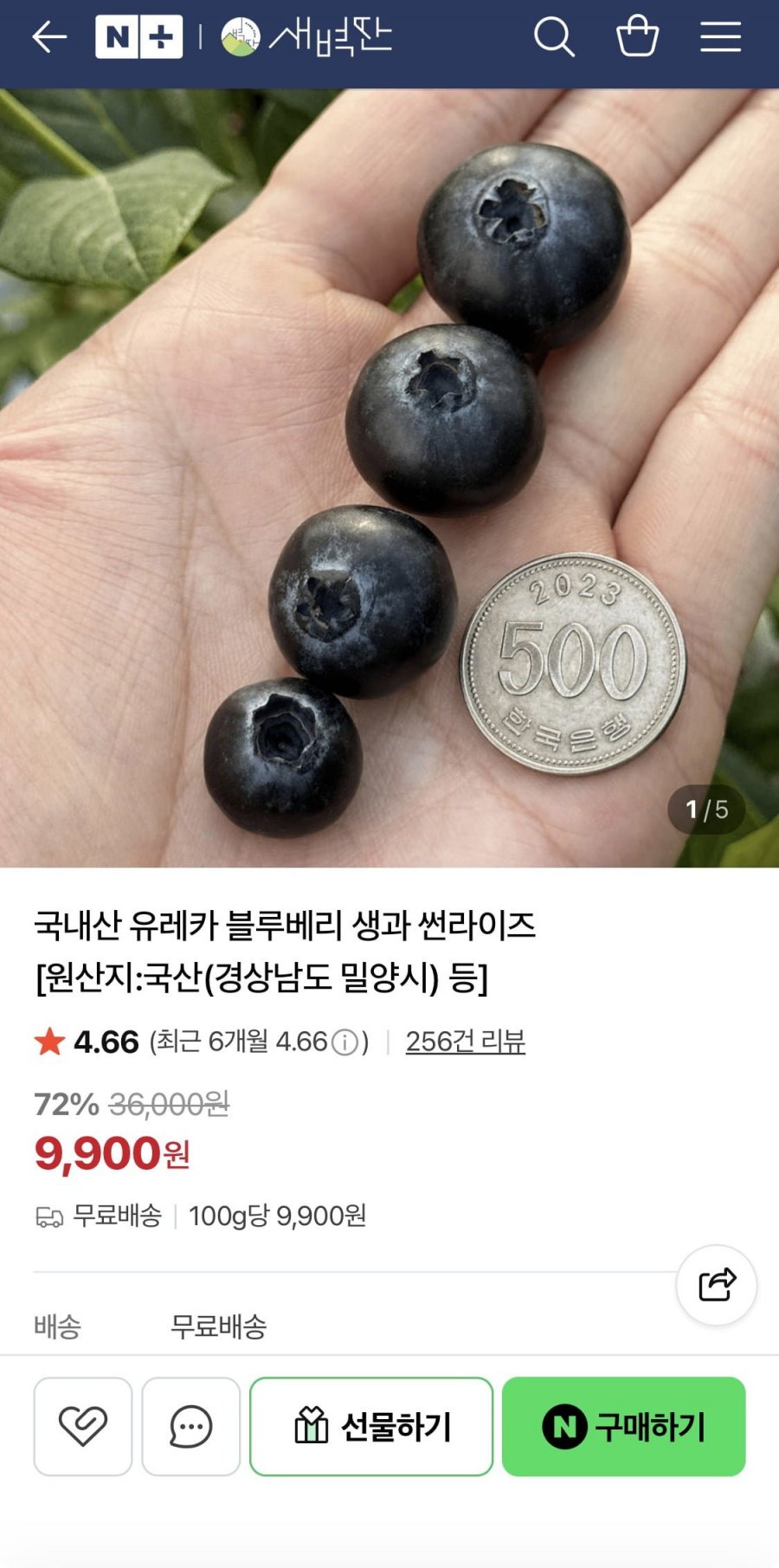 국내산 유레카 블루베리 생과 썬라이즈 (9,900원/무료배송)
