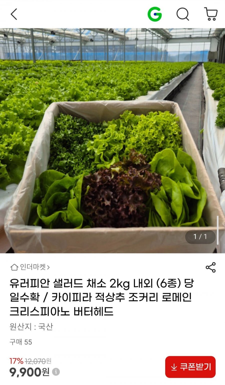 유러피안 샐러드 채소 2kg 6종 (9,900원/무료)