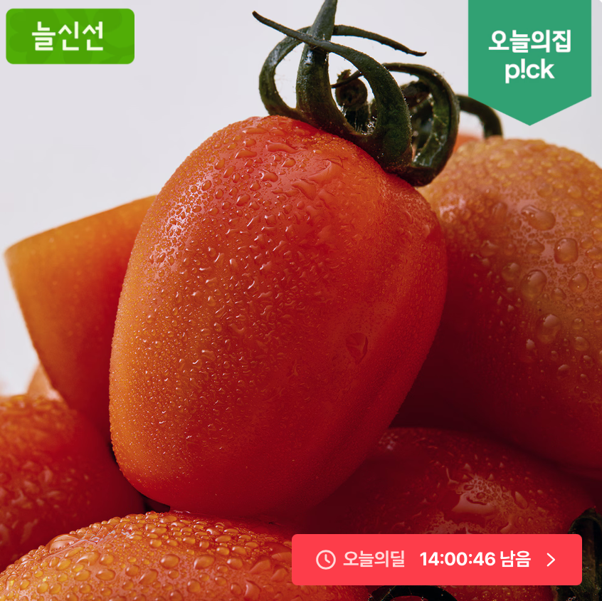 스테비아 토망고 500g x 4팩 9,900원