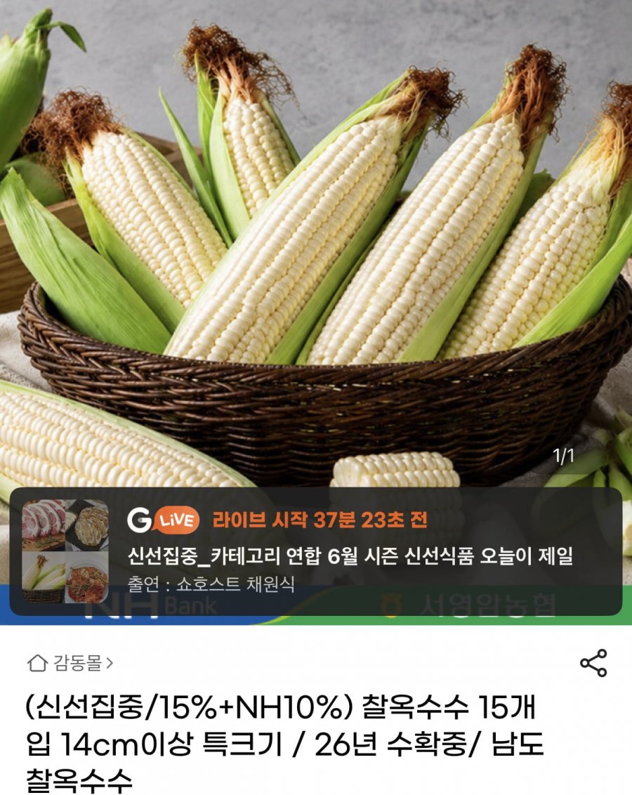 감동몰 찰옥수수 15개입 14cm 이상 (10,800원/무료)
