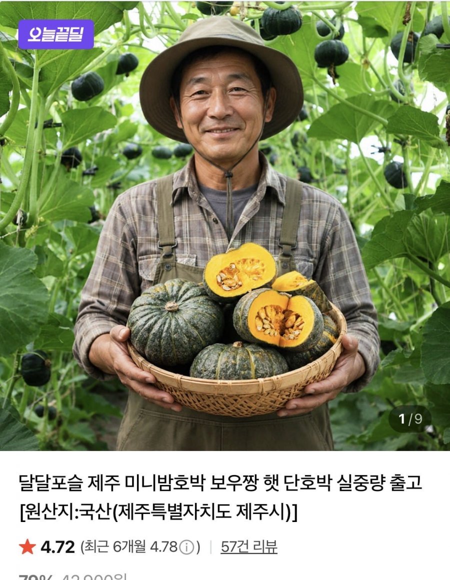 보우짱 못난이 단호박 4.5kg (12,900원/무료)