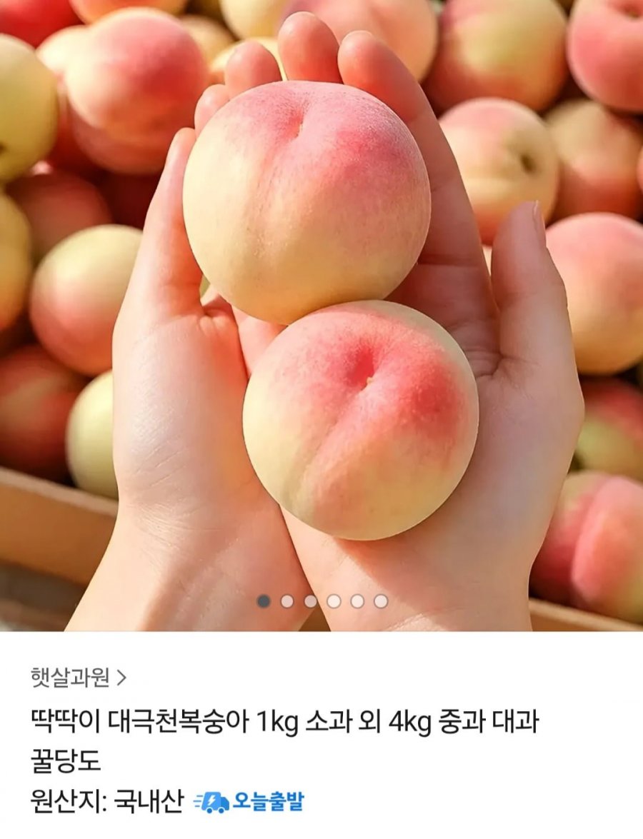 국내산 대극천복숭아 1kg (9,790원 / 무배)