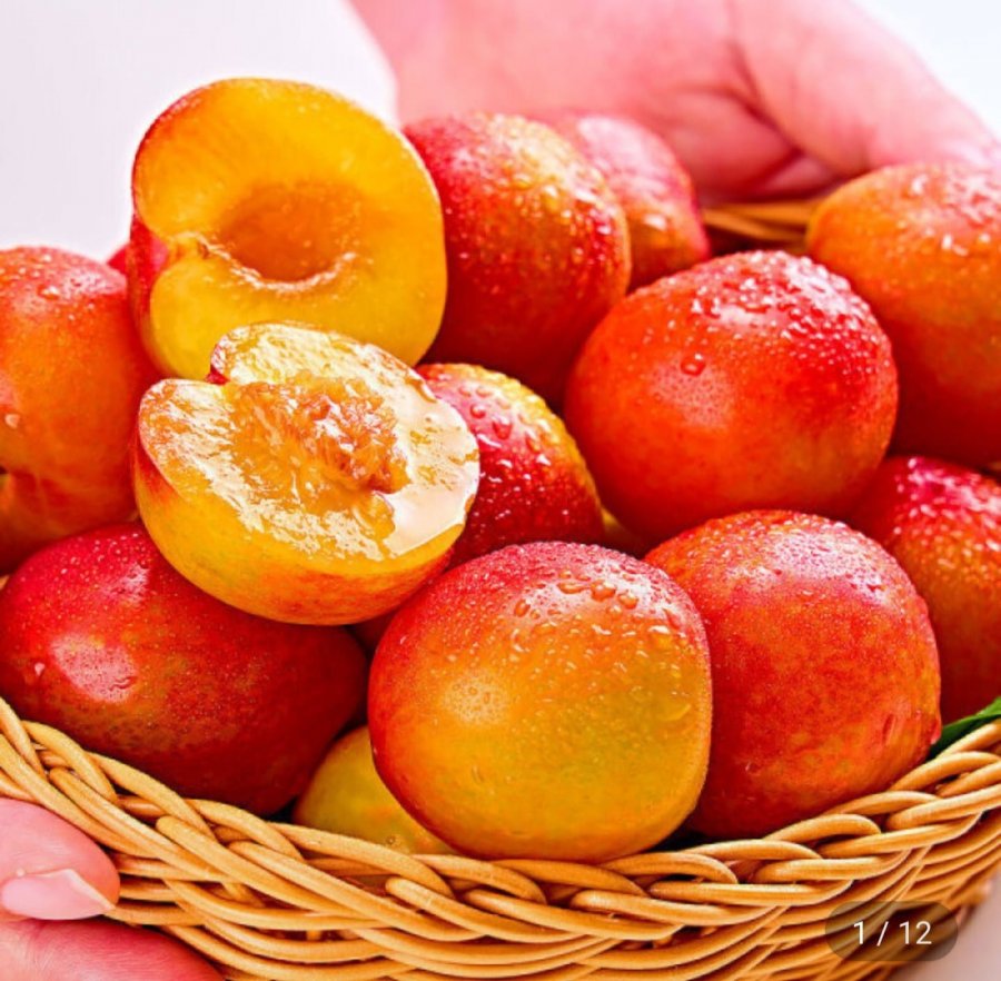 김천 햇 자두 1kg (5,970원/무료)