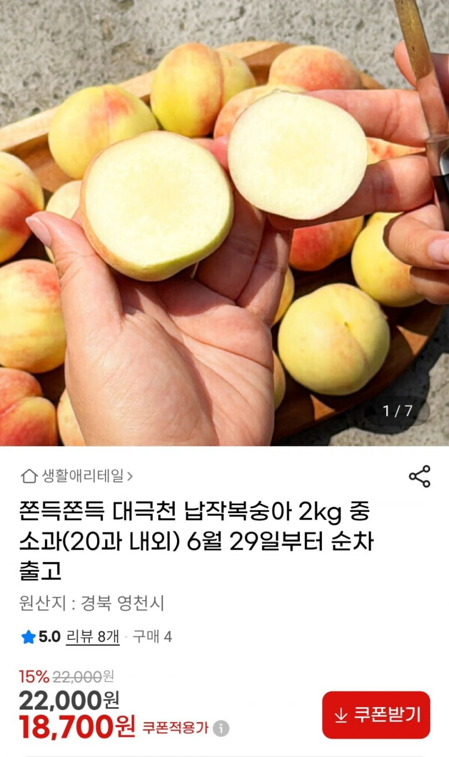 대극천 납작복숭아 2kg 중소과 (18,700원 / 무료)