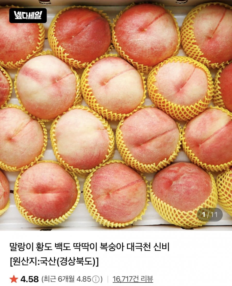 딱딱이 대극천 복숭아 1kg 로얄과 (15,120원/무료)