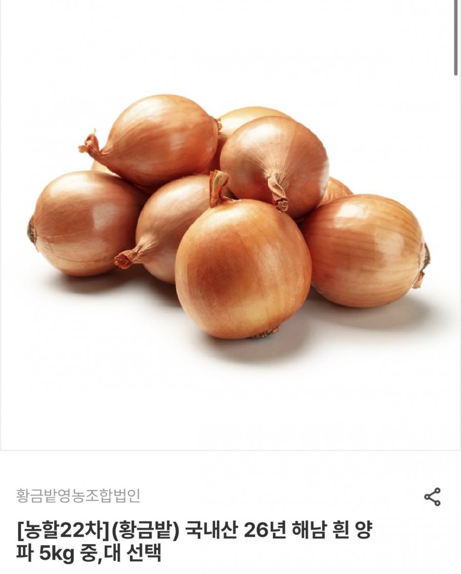 국내산 해남 양파 중 사이즈 5kg (3,900원/무료)