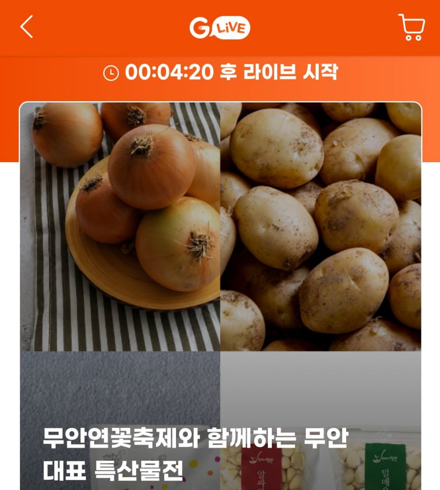 무안군 햇수확 미백 찰옥수수 12cm이상 20개입 (15,270원/무료)