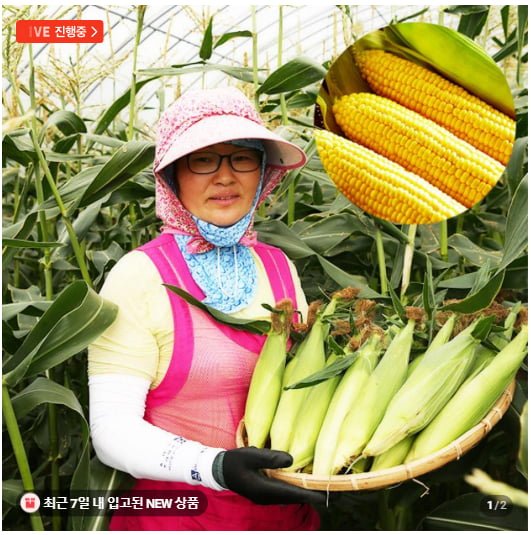초당옥수수 특품 15cm 20개 (21,280원/무료)