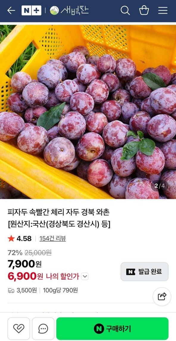 GAP인증 와촌자두 1kg 소과 (6,900원/네맴무배)