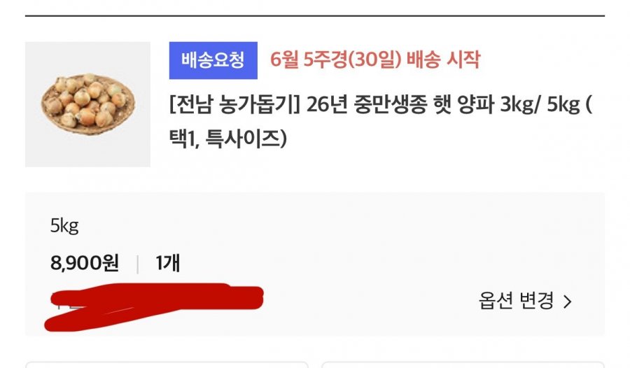 양파 대사이즈 3kg(6,900/무료)