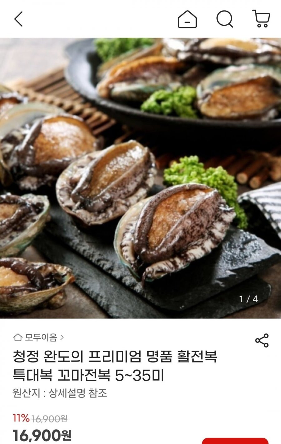 완도 활전복 특대 6-7미 (16,640원/무료)