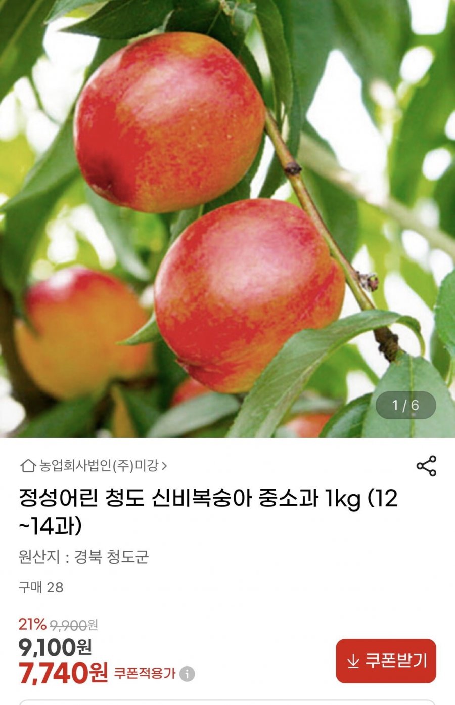 청도 신비복숭아 중소과 1kg (7740원/무배)