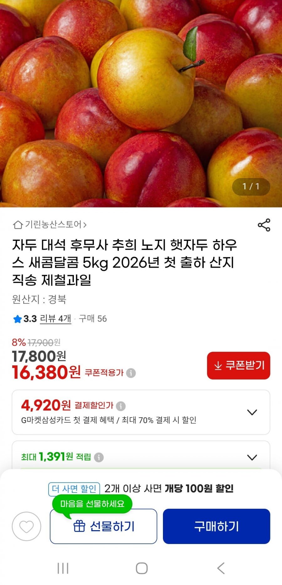 후무사 자두 5kg 2026년 첫 출하(16,380원/무배)