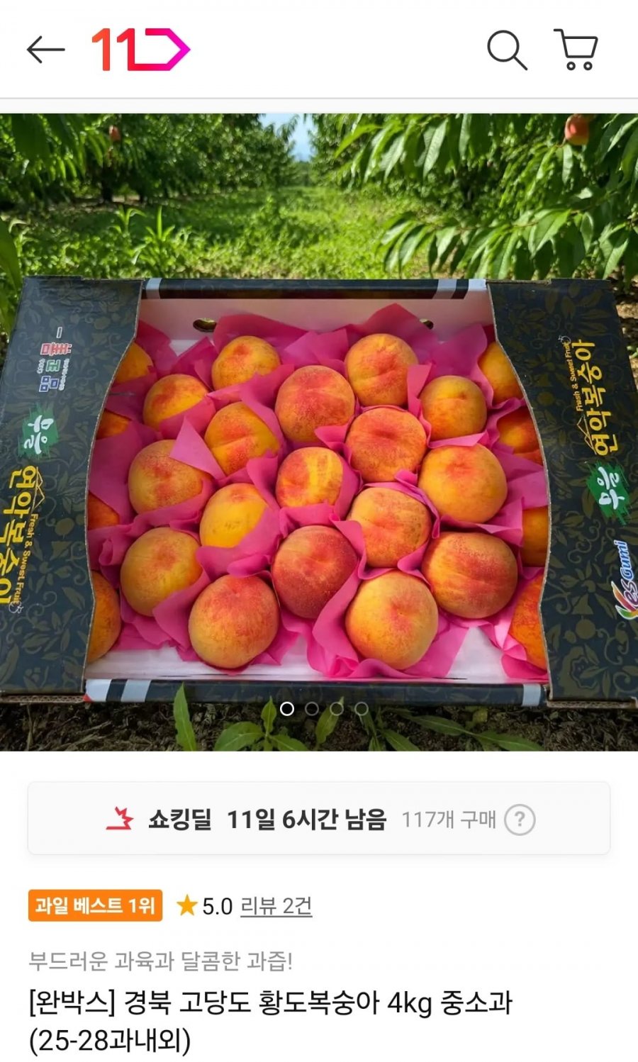 경북 고당도 황도복숭아 4kg (12,260원~/무료)