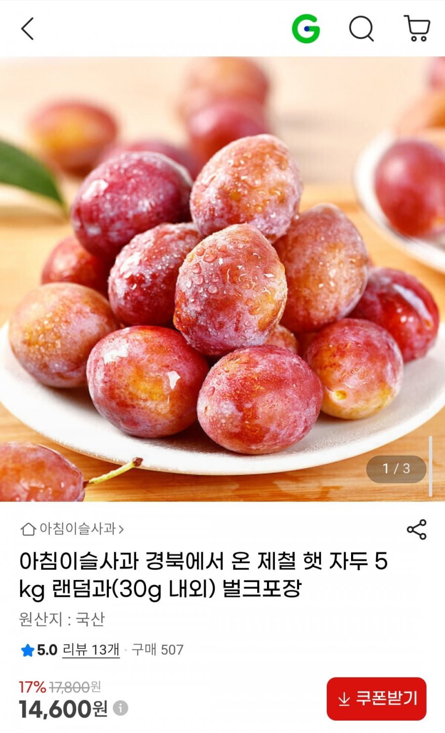 제철 햇자두 5kg (14,600원/무배)