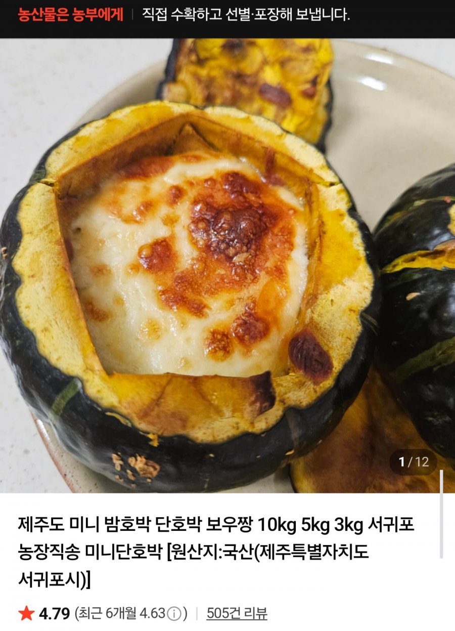 제주산 미니밤호박 보우짱 특품 3kg (9,820원/무배)