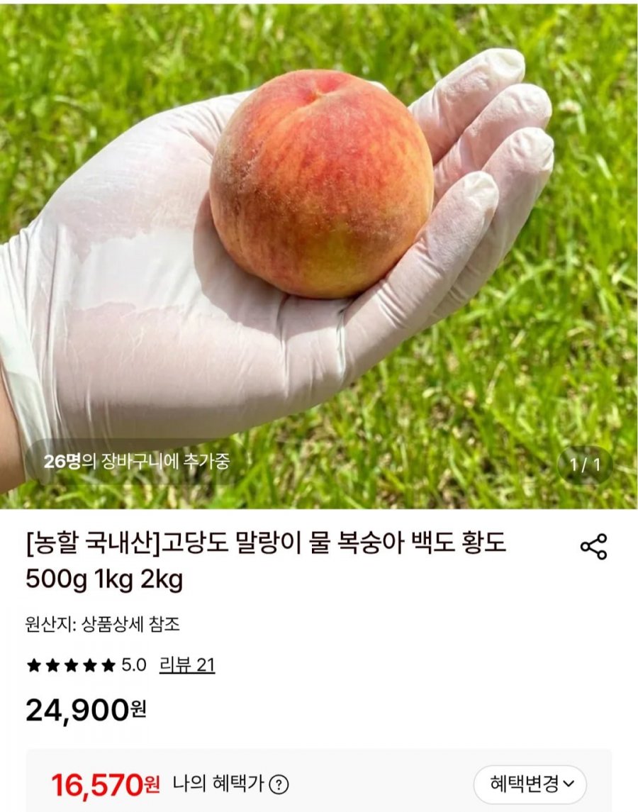 국내 고당도 말랑이 복숭아 2KG (16,570원/무료)