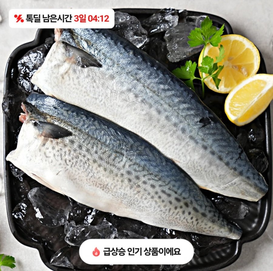 제주 손질 고등어 150g 7팩 (13,520원/무료)