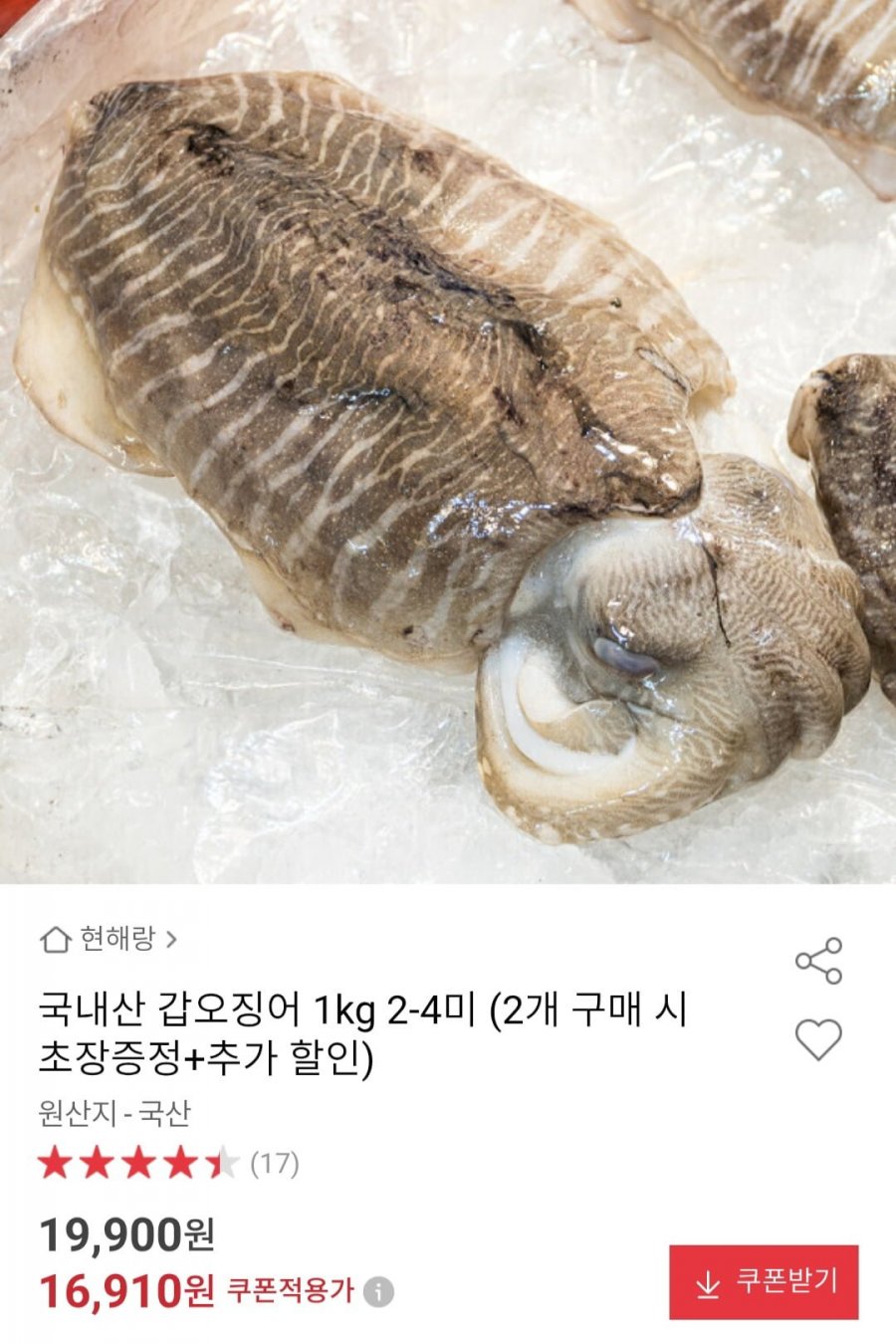 국내산 갑오징어 1kg 2-4미 (16,910원/무료)