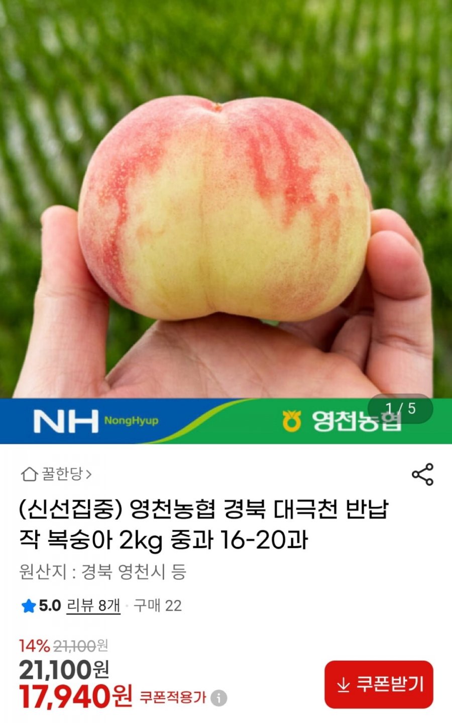 영천농협 대극천 복숭아 2kg 중과 (17,940원 / 무료)
