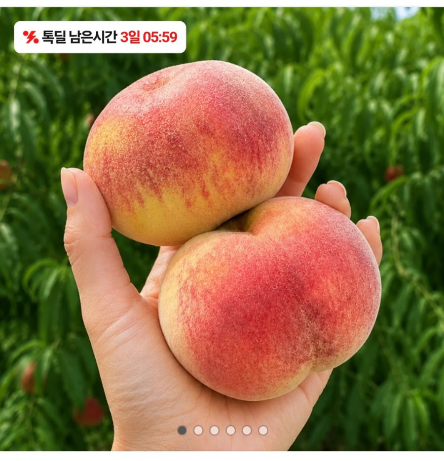 경북 대극천 백도 반납작 복숭아 중소과 1kg~ (11,630원/무료)