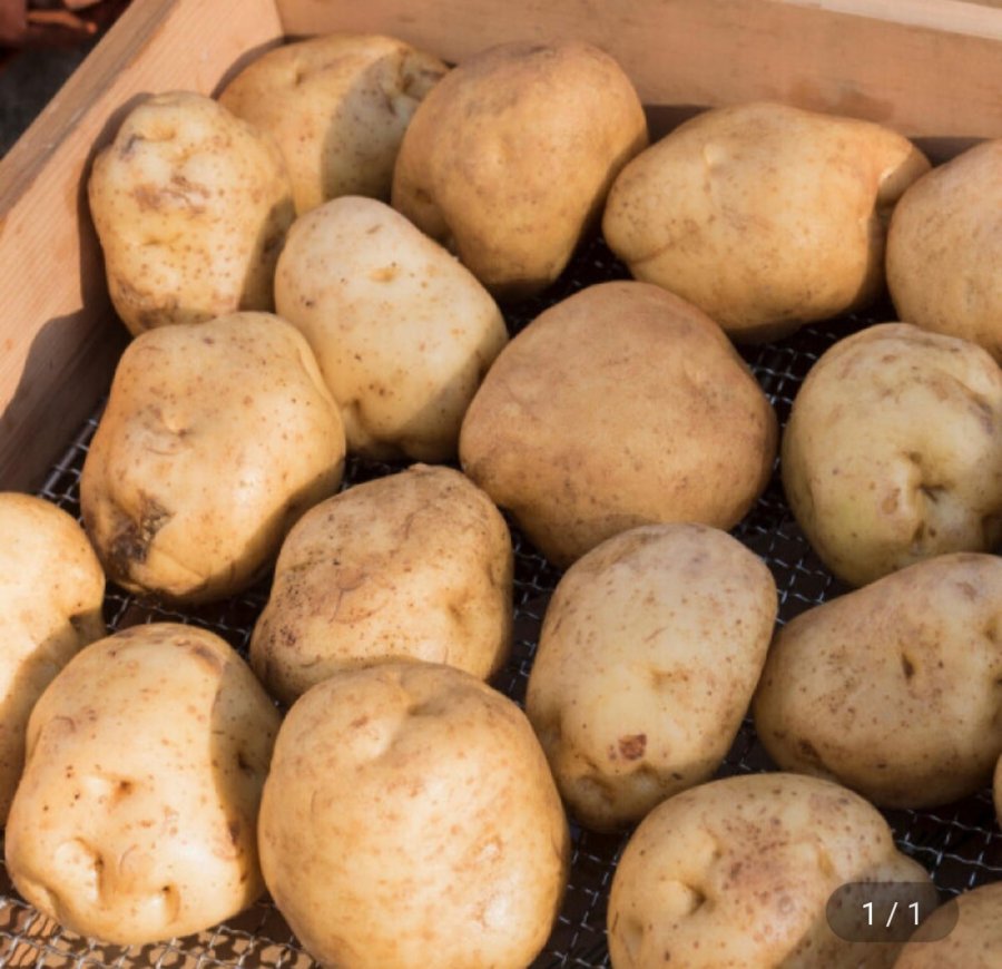 햇수미감자 특 사이즈 실중량 5kg(9,630원/무료)