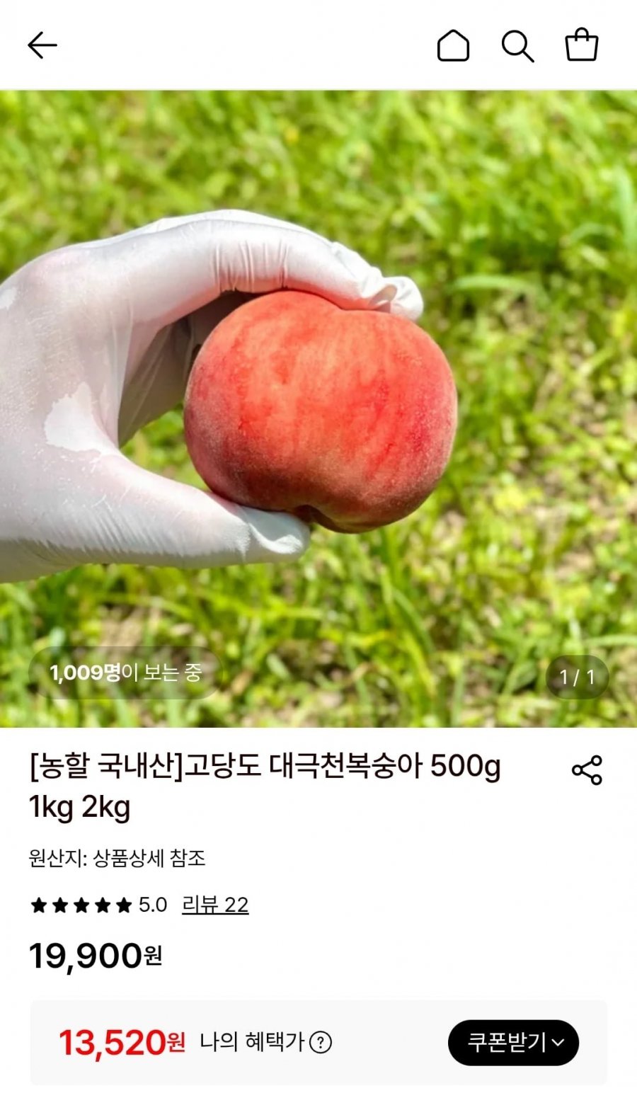 고당도 대극천복숭아 1kg (7~11과) (13,520원/무료)