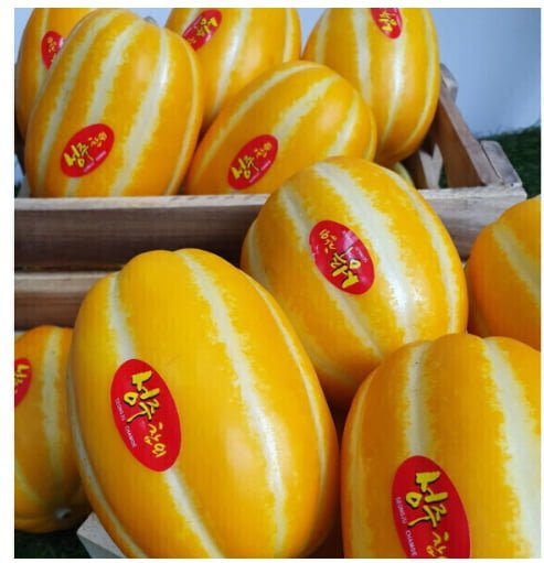 성주 참외 실중량 9kg (11,820원/무료)