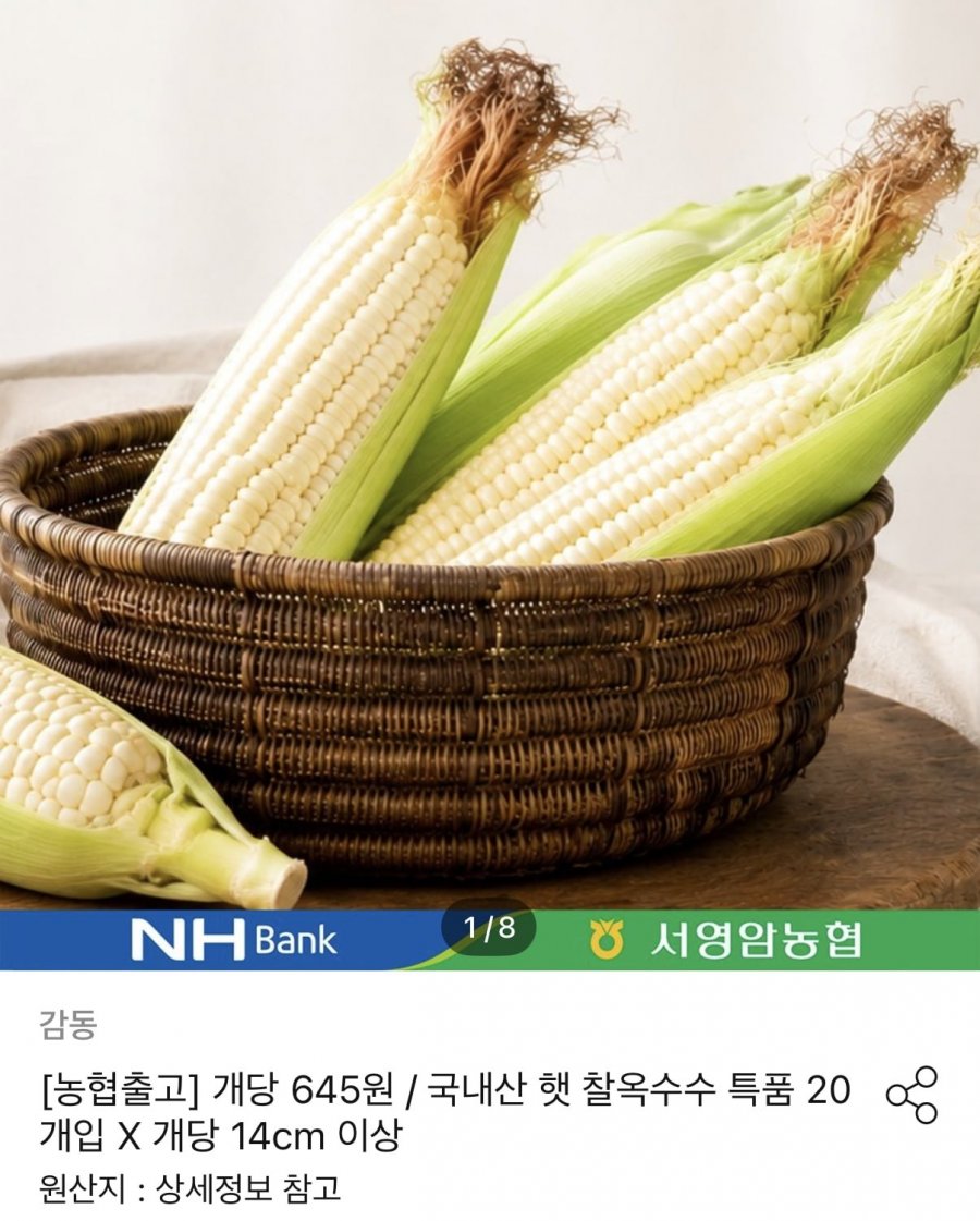 국내산 햇 찰옥수수 20개입 (12,960원/무료)