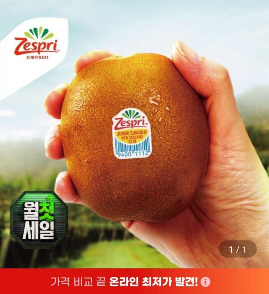 제스프리 골드키위 점보 3.2kg 외 (22,310원/무료)