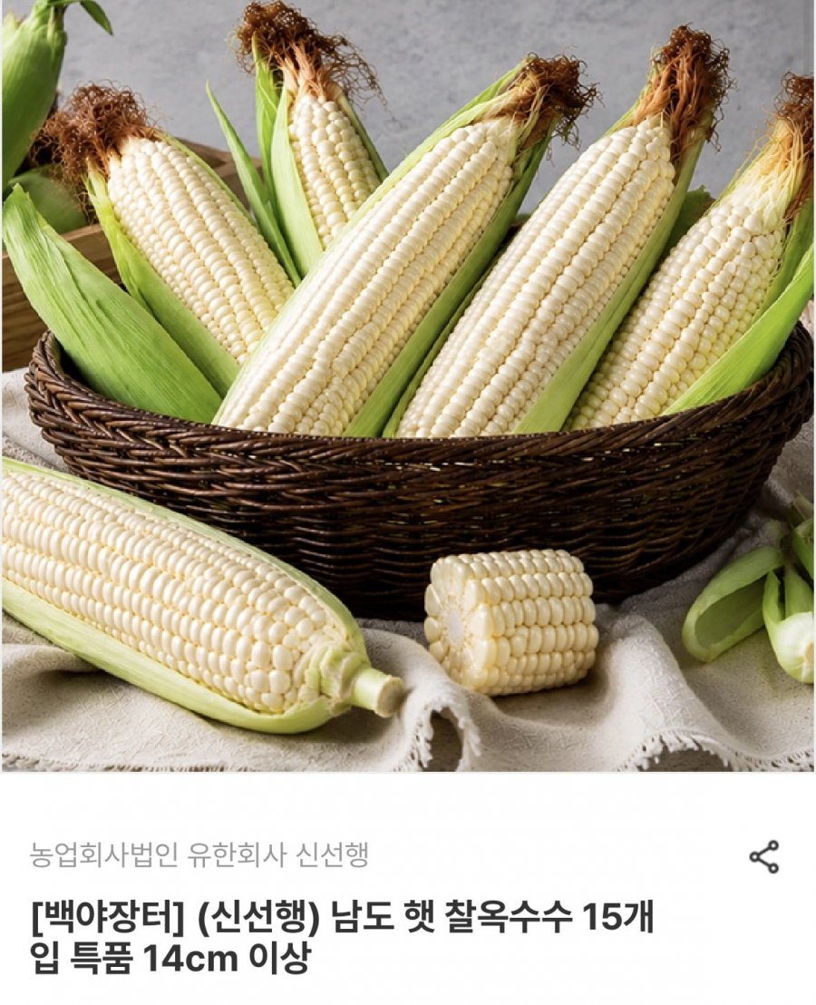 햇 찰옥수수 15개입 특품 14cm 이상 (9,520원/무료)