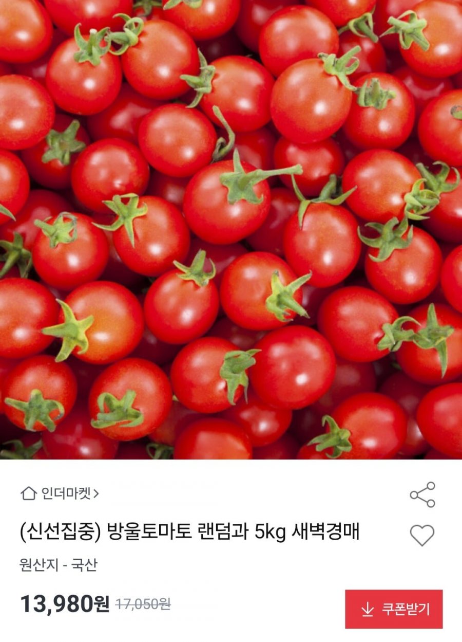 방울토마토 랜덤과 5kg (13,980원/무료)