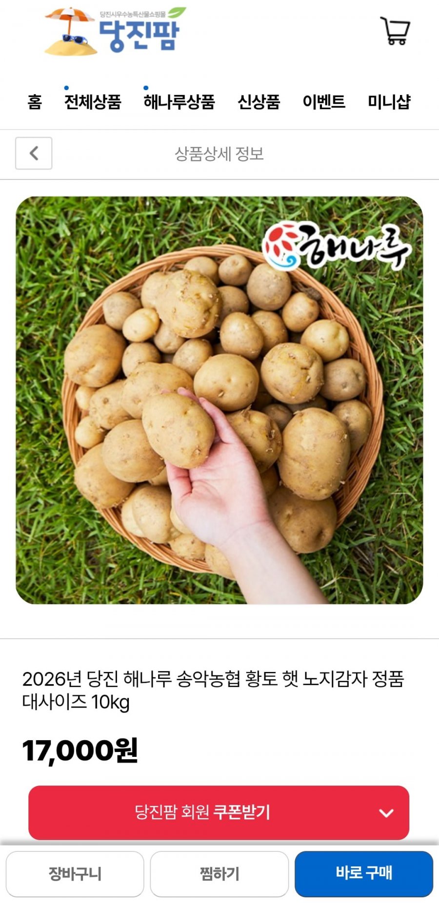 2026년 당진 해나루 송악농협 황토 햇 노지감자 정품 대사이즈 10kg (12,750원/무료)