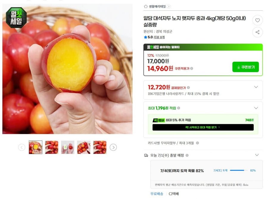 대석자두 노지 햇자두 중과 4kg (14,960원 / 무료)