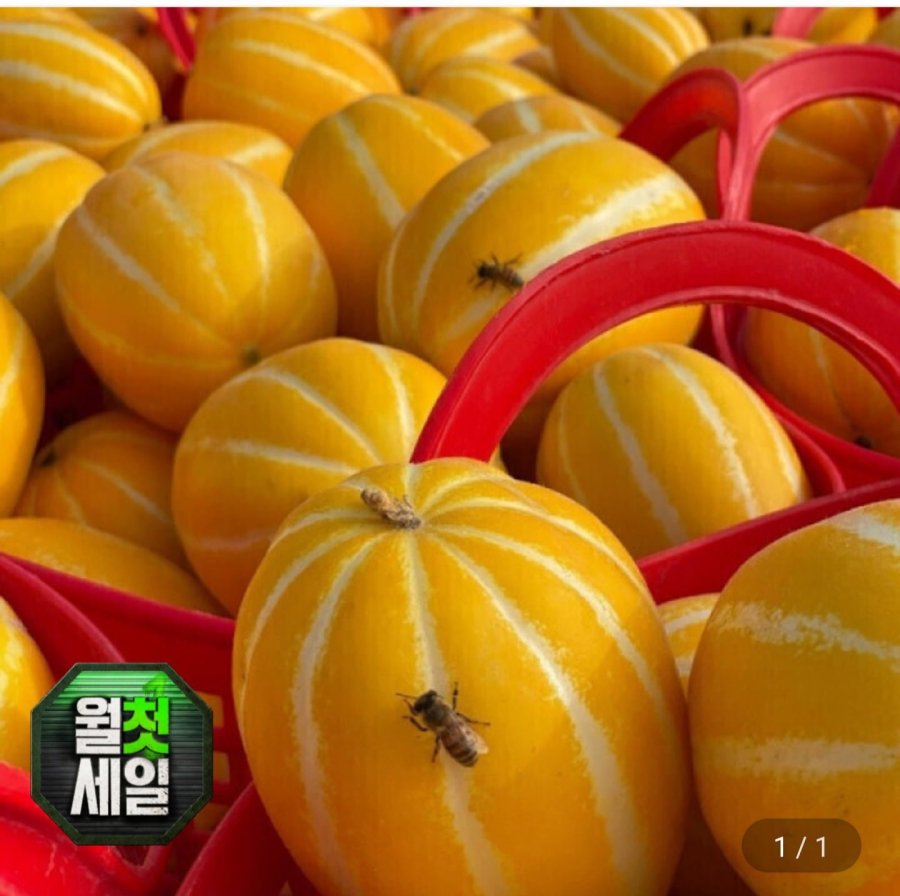 성주 참외 9kg 못난이 (8,720원/무료)