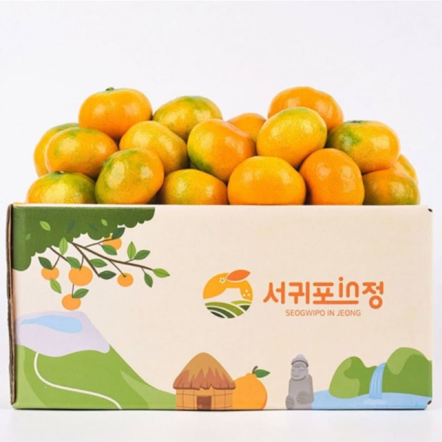 서귀포in정 제주하우스 감귤 2.5kg 중과 (14,900원/무배)