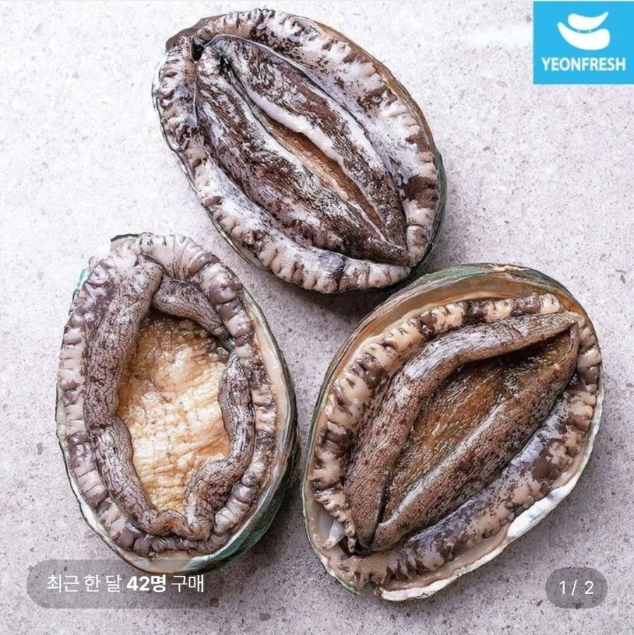 완도 활전복 1kg 9-10미 (16,930원/무료배송)