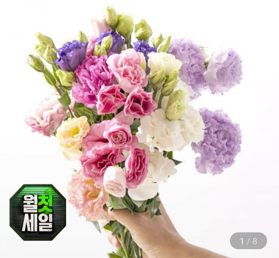 리시안셔스 생화 반단 (7,920원/무료)