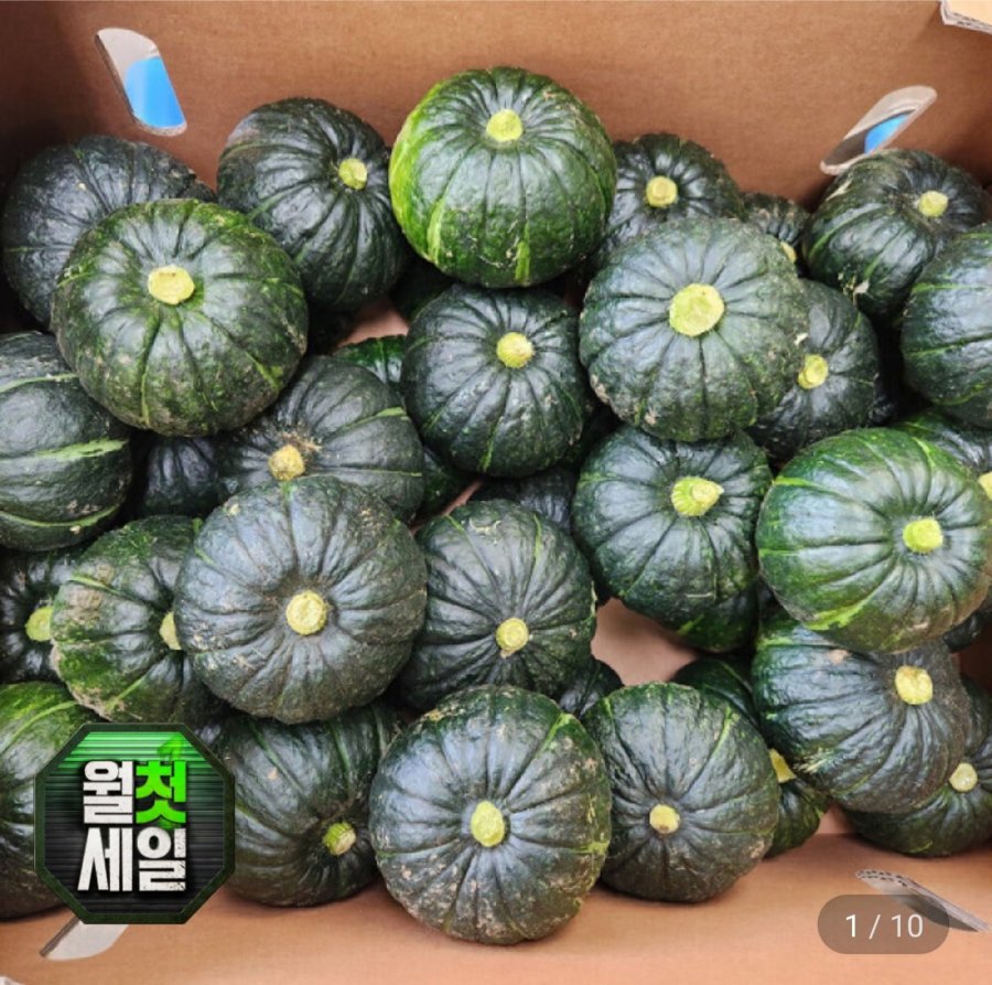 제주 미니 밤호박 못난이 10kg (19,980원/무료)