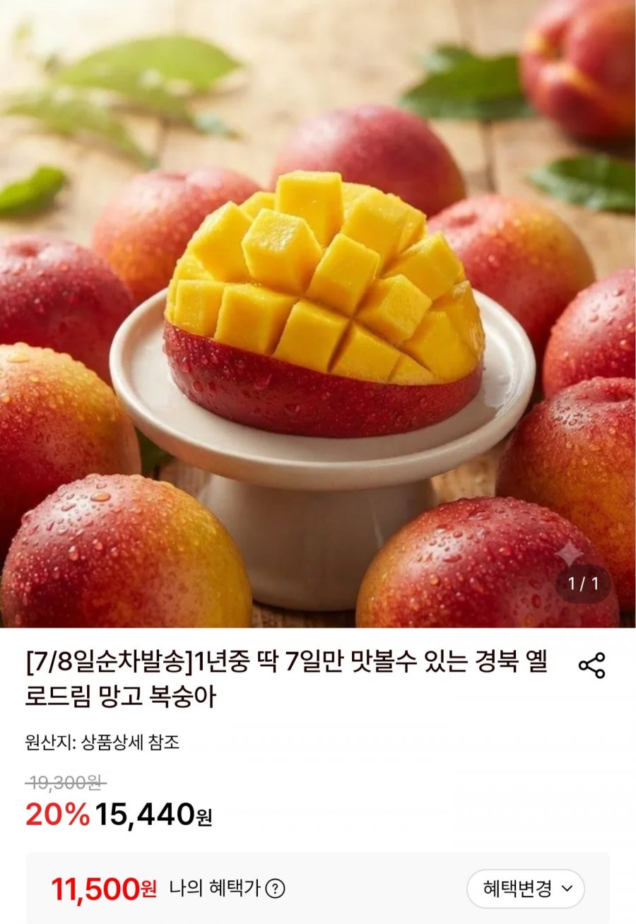 경북 망고복숭아 2kg 중과 20~24과 (11,500원/무배)