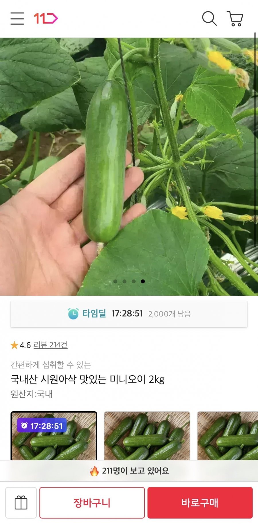 국내산 미니오이 2kg (7,830원/무료)